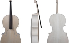 Violoncel  Gewa Violoncel 4/4 white PAOLO ANTONIO TESTORE