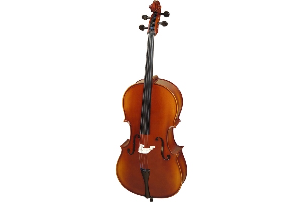 Student Rhapsody Laminat 4/4 C121