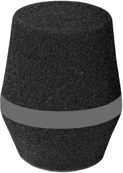 AKG W3004