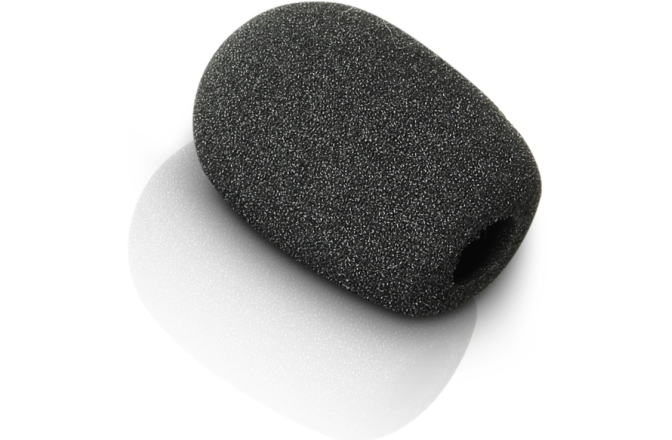 Windscreen LD Systems D909