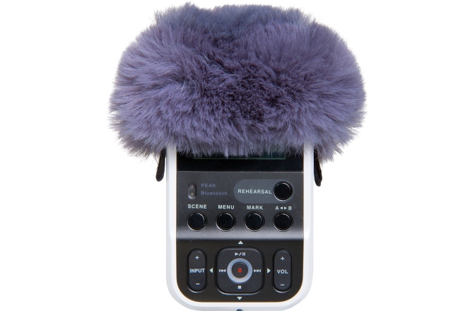 Windscreen Roland R07-WS Windscreen