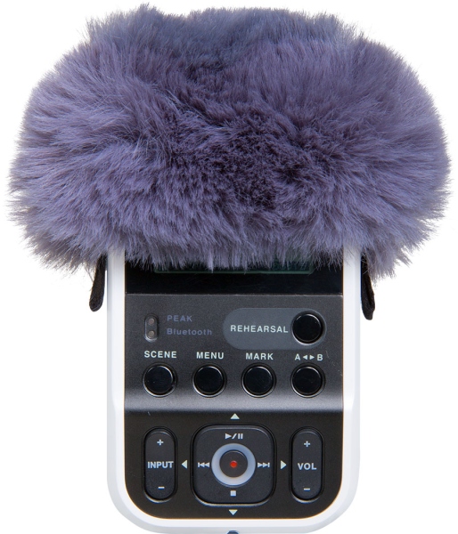Roland R07-WS Windscreen