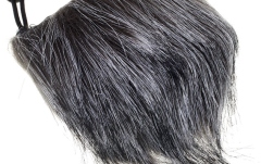 Windshield universal Zoom WSU-1