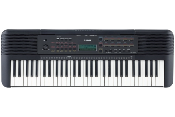 PSR-E273