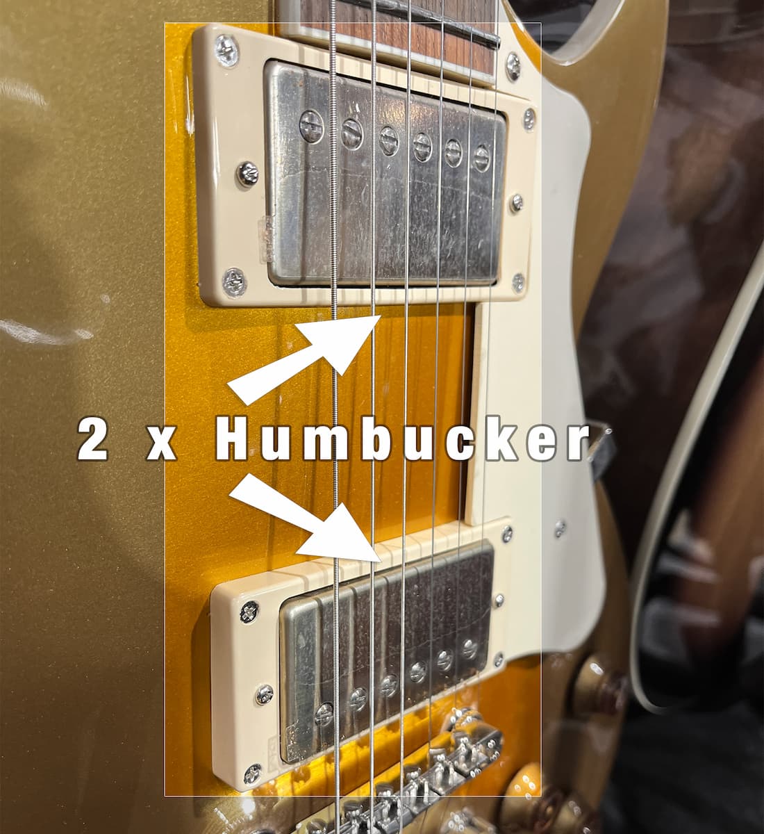 Doza Single Coil vs Humbucker